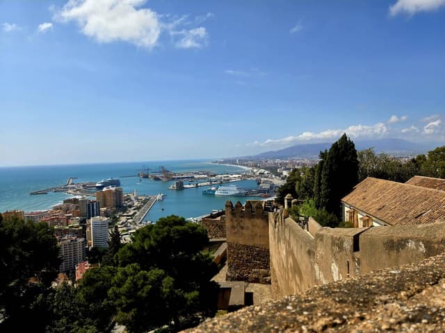 Photo 11 by Catherine S. (3/29/26)