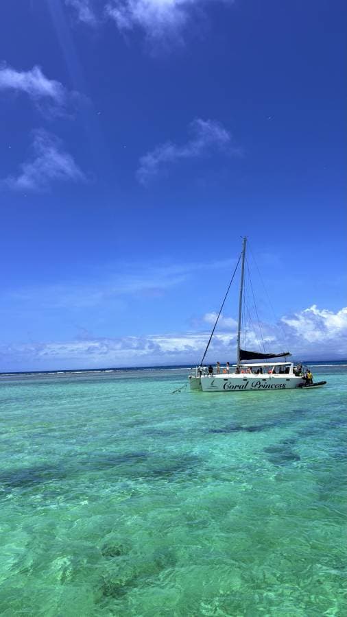 Photo 2 par Karine Q. (11/01/26)