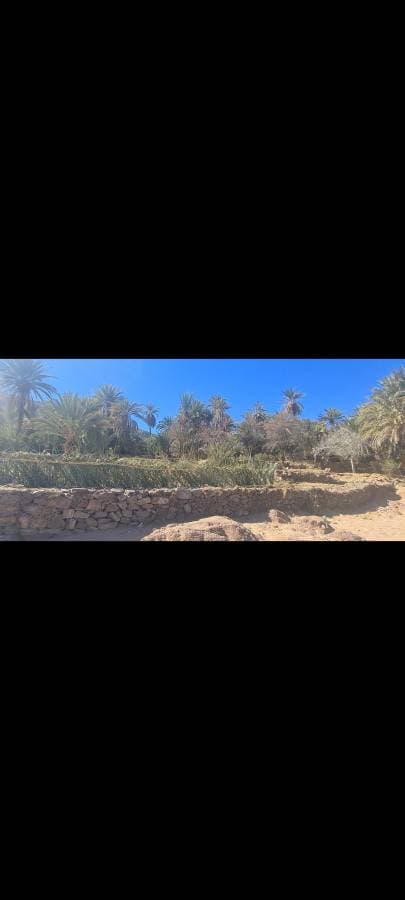 Photo 8 par ABDELAZIZ H. (12/02/25)