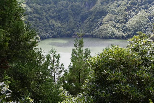 Photo 7 by Roman M. (8/21/24)