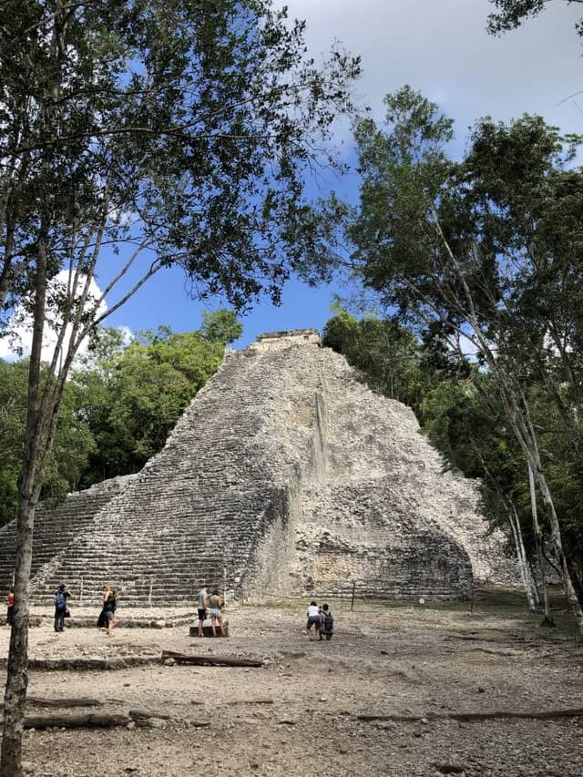 Photo 2 by Donna K. (11/16/22)