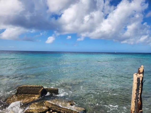 Photo 3 by Stephanie D. (1/30/24)