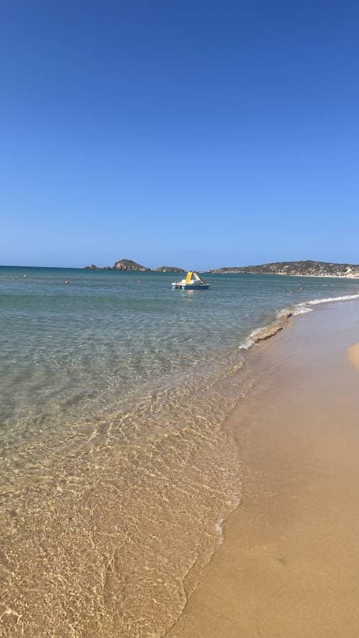 Foto 4 di Vito Antonio Mario P. (04/08/25)