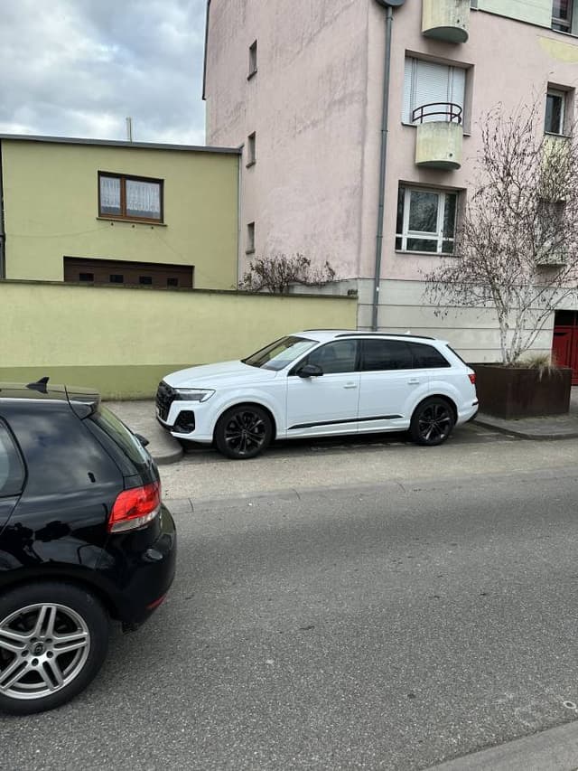 Photo 2 by Leandro M. about renting a Lexus RX in Basel (3/3/25)