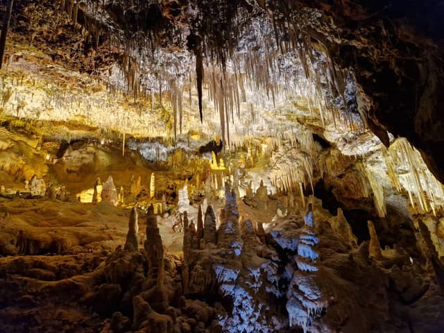 Photo 7 by Graham D. about renting a Nissan Juke in Mallorca (9/2/24)