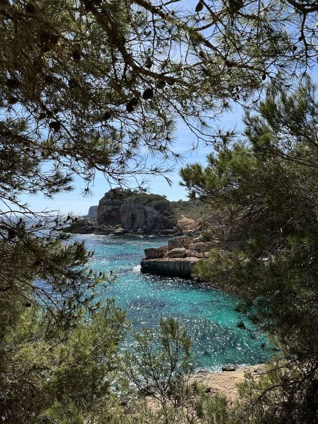 Photo 7 by Radostin Y. about renting a Peugeot 208 in Mallorca (4/7/24)