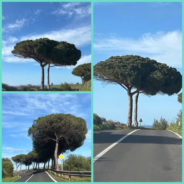 Photo 4 by Herman V. (4/15/24)