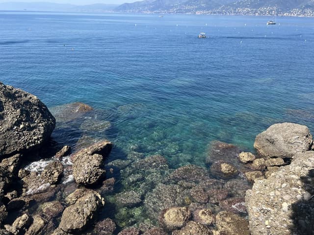 Foto 5 di ornella B. (15/04/24)