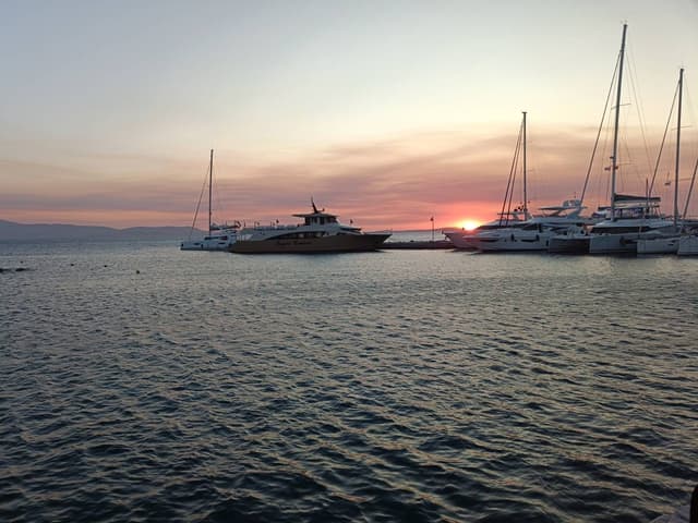 Photo by Nicolae Ovidiu N. (6/28/25)