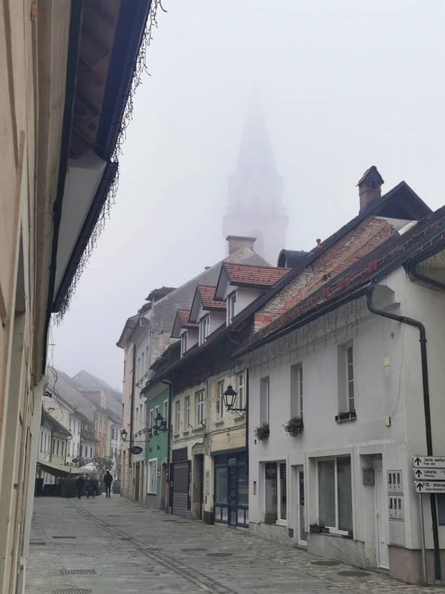 Photo by Konstantin A. (12/28/24)