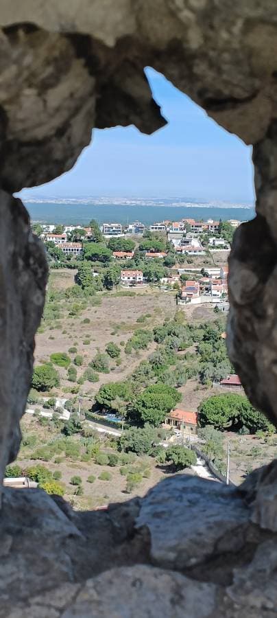 Foto 3 van Hans D. (5-9-23)