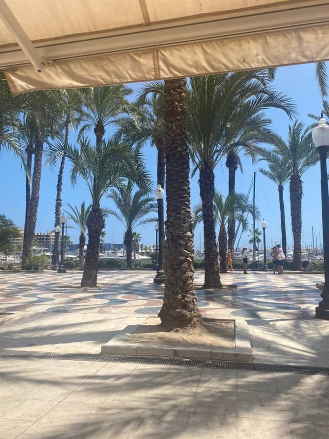 Photo by Paul T. about renting a Citroen C3 in Alicante (7/30/23)