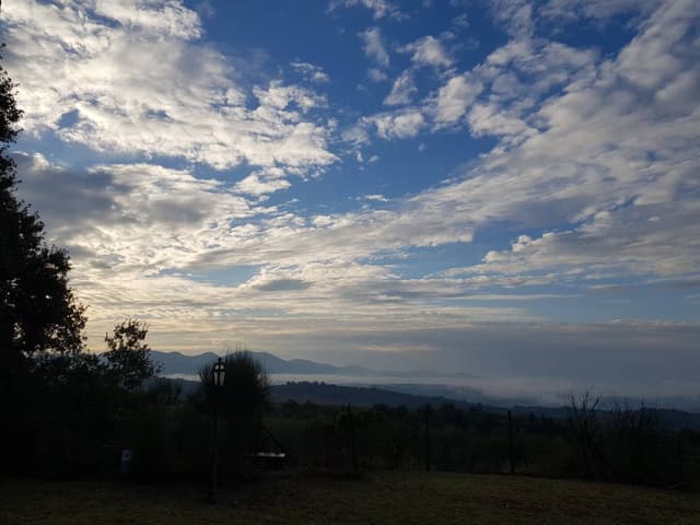 Photo 7 by Stephen M. about hiring a Volkswagen Up at Rome Fiumicino Airport (20/09/23)