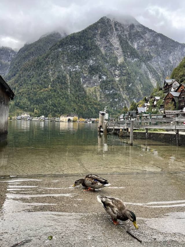 Photo 6 by Alicia Y. (10/1/24)