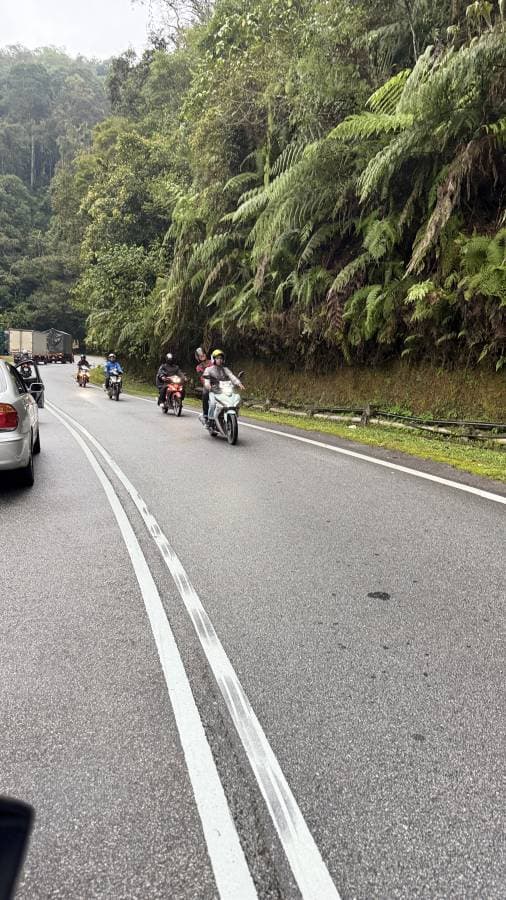 Photo by Darran W. (11/18/24)