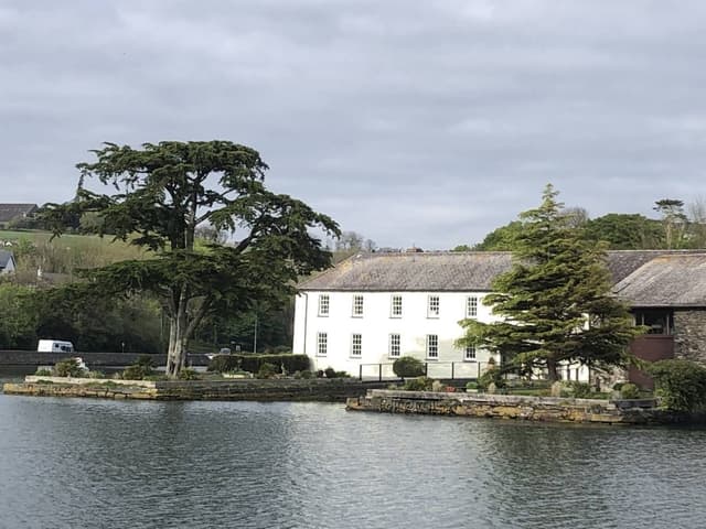 Photo 9 by Catalin C. (5/11/24)