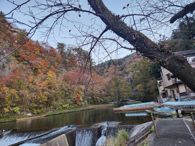 Photo by Tsu Ching W. (11/6/23)
