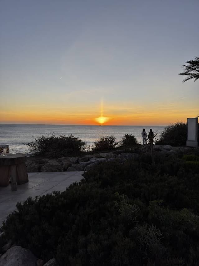 Photo 7 by Eileen B. (12/7/25)