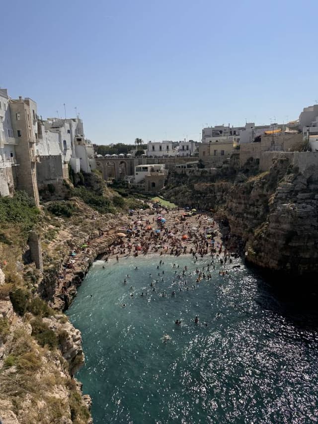 Photo 9 by Melsi V. (9/3/24)