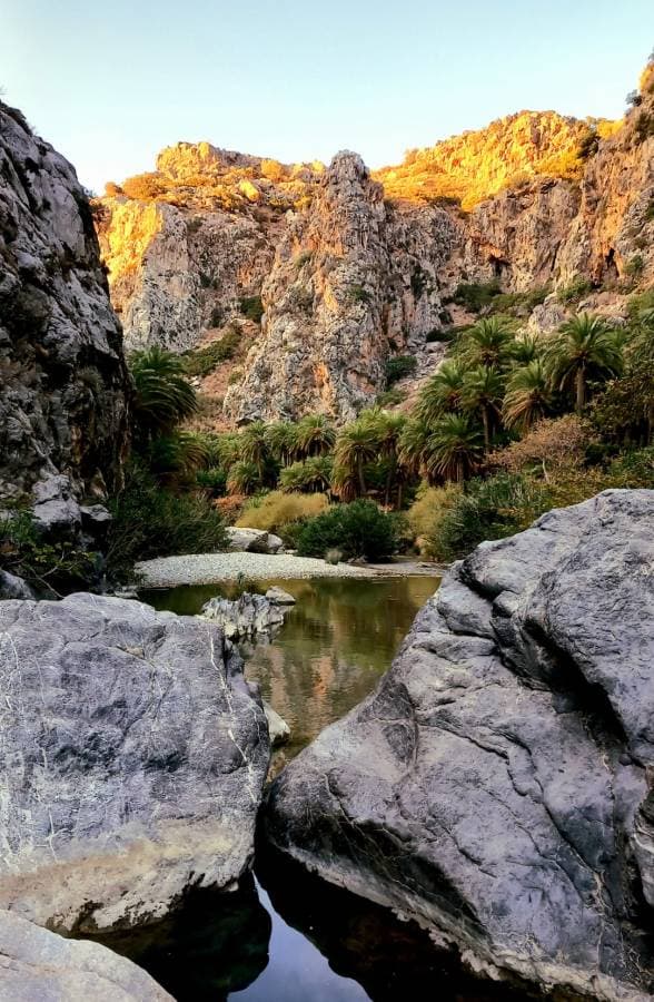 Photo 9 by LIYEN A. (10/30/24)