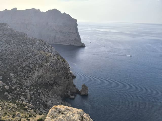 Photo by Jacek B. (8/13/24)