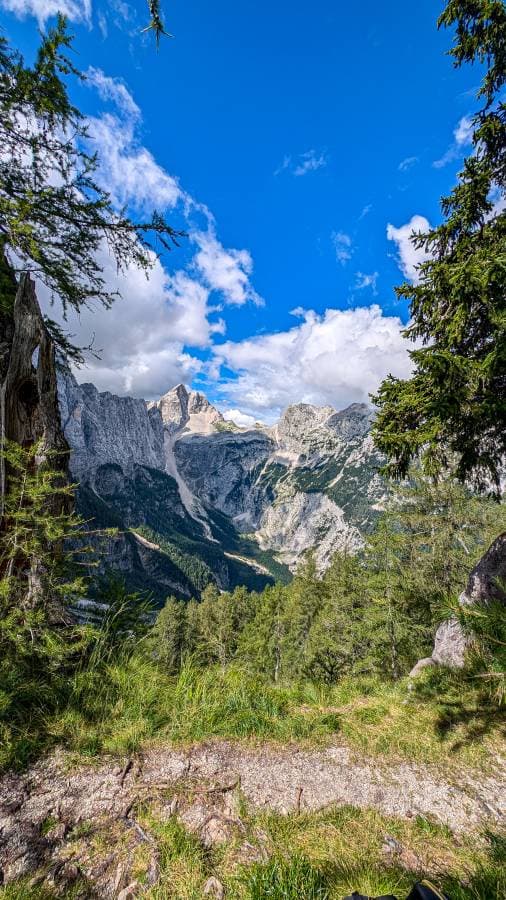 Photo 8 by Dean M. (7/26/24)