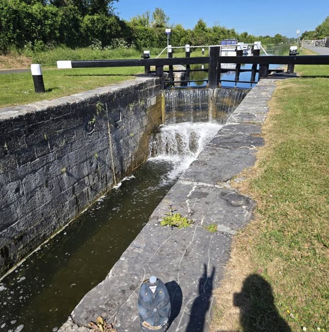 Photo 2 by Zafar K. (5/19/25)