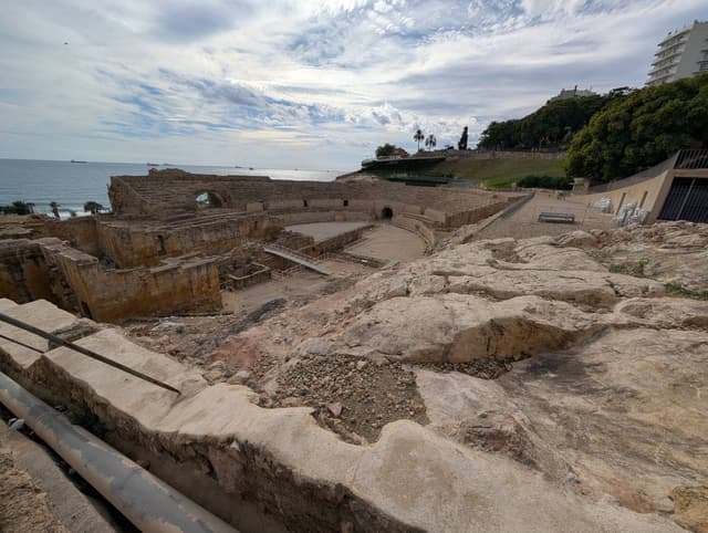 Photo 5 by Palavinnage M. (10/28/25)