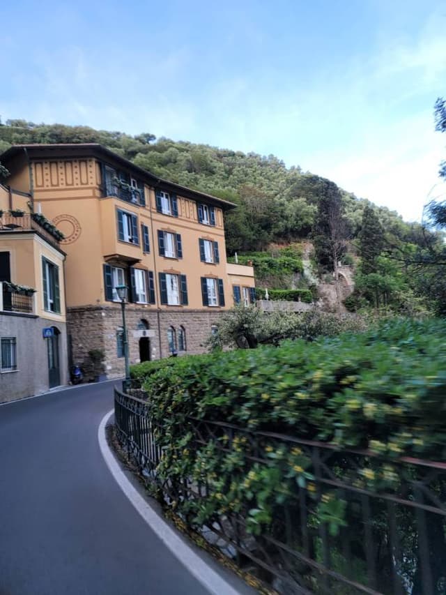 Photo 4 by Tudor Nicolae P. (5/9/24)