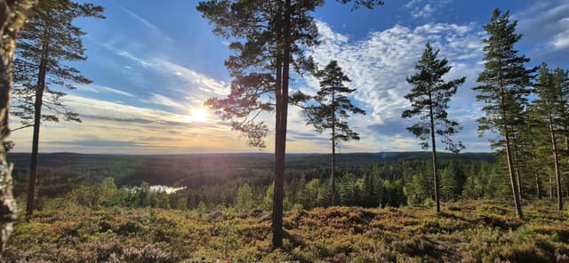 Photo 4 by Vladimir S. (8/19/24)