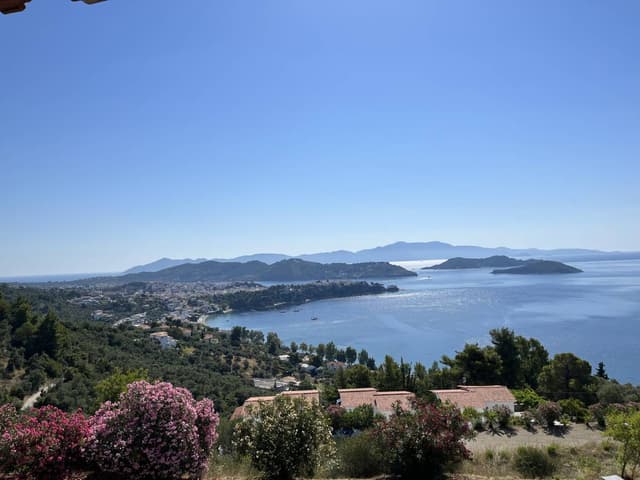 Photo 6 by Chance B. (7/26/22)