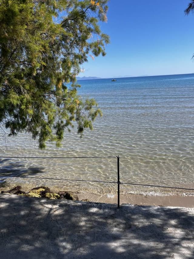 Photo 5 by Richard H. (5/13/24)