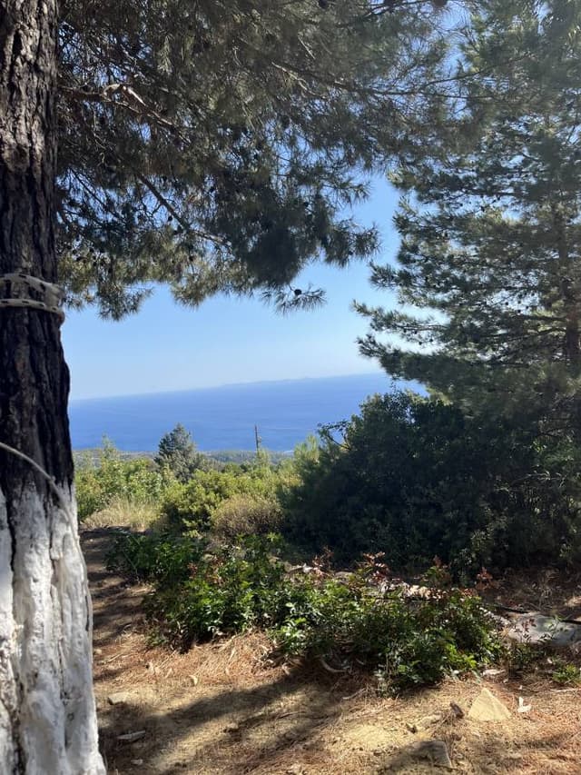 Foto av Joergen B. (24-06-25)