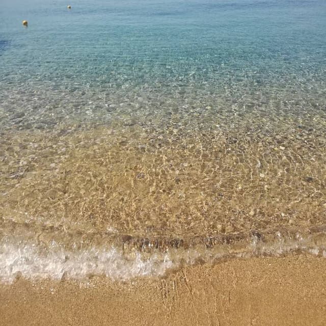 Photo 3 by Daniele B. (7/23/23)