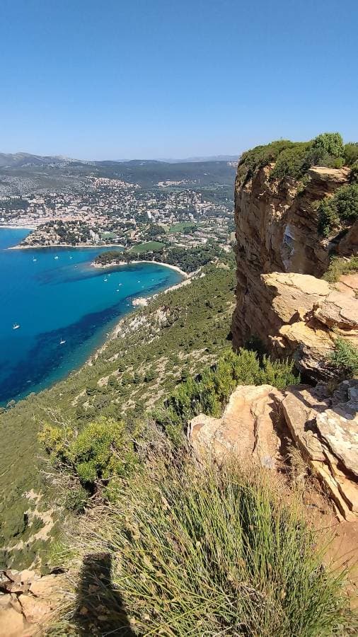 Photo 4 by Rui Alexandre M. (6/20/25)