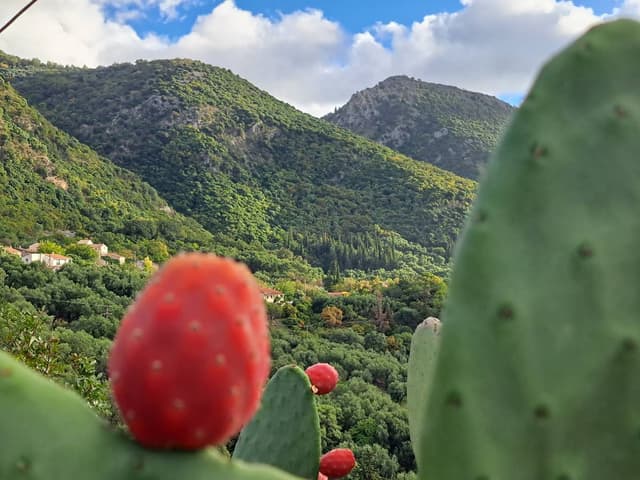 Zdjęcie 2 wykonane przez Gerard Z. (31.10.25)