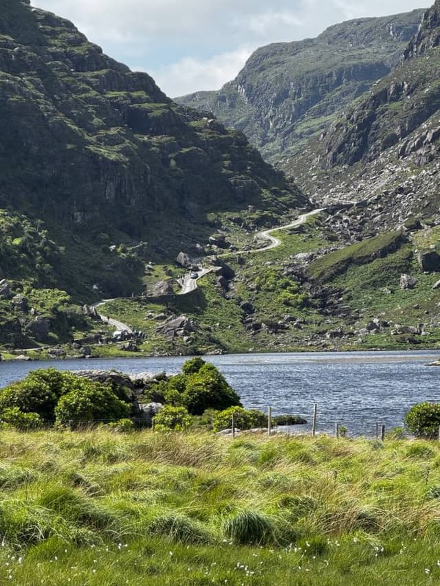 Photo 3 by Roy R. (6/24/25)