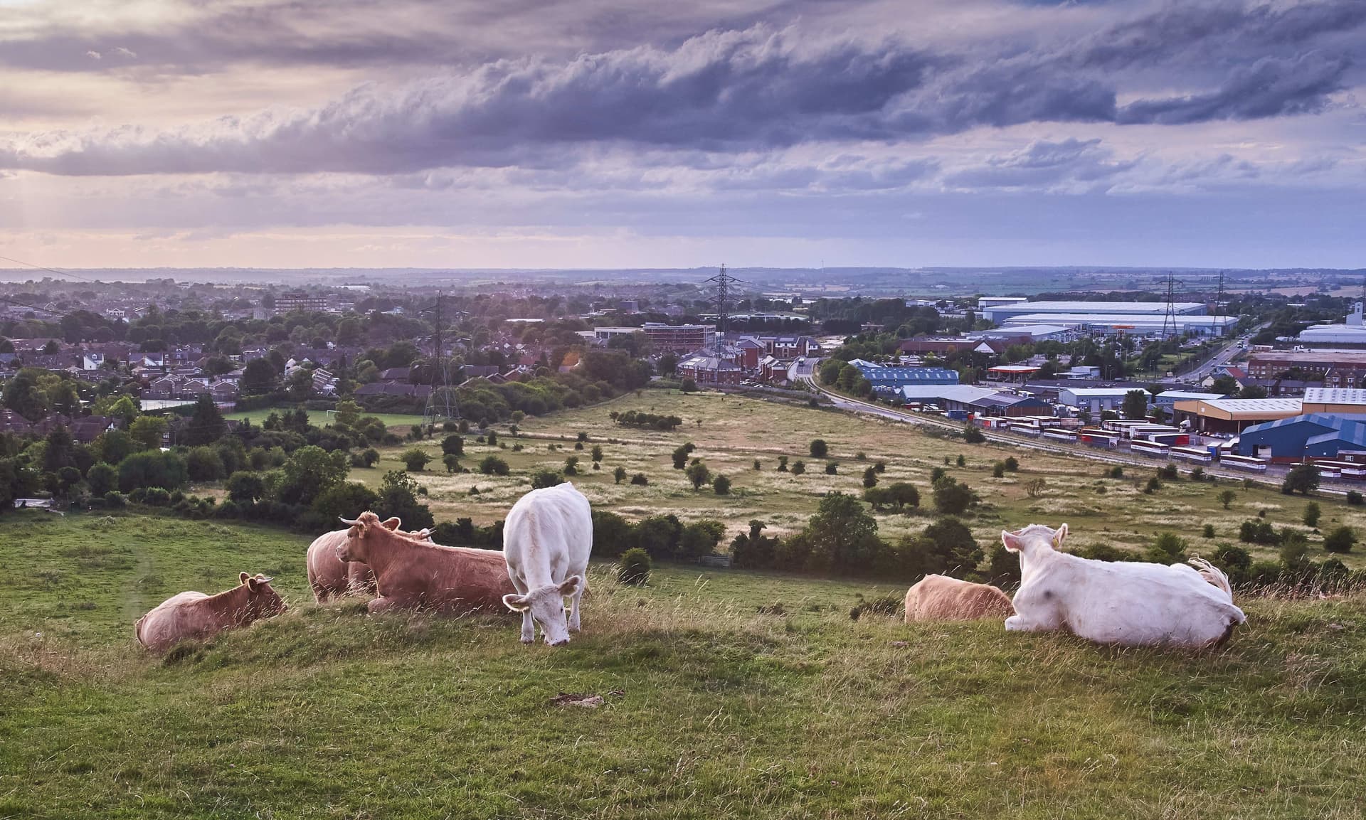 Luton